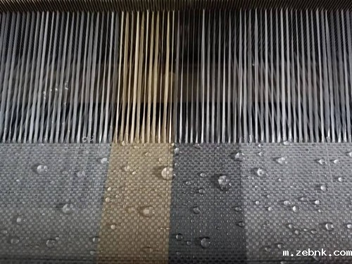 开云官网入口网页版下载