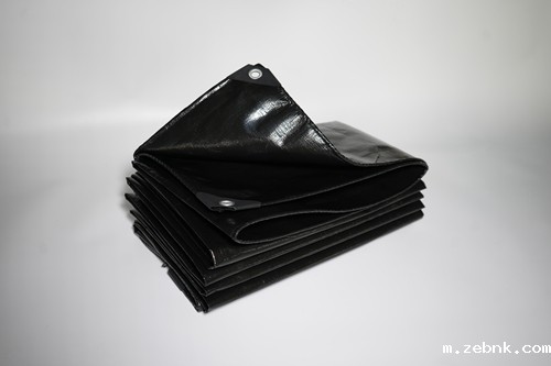 大型开云电竞首充送100