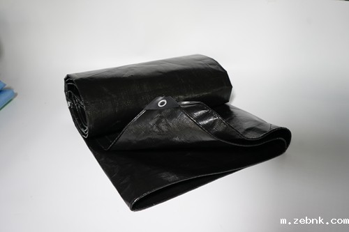 开云官网入口网页版下载定制