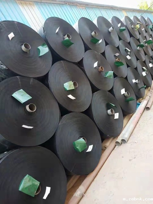 开云电竞游戏官网入口有限公司