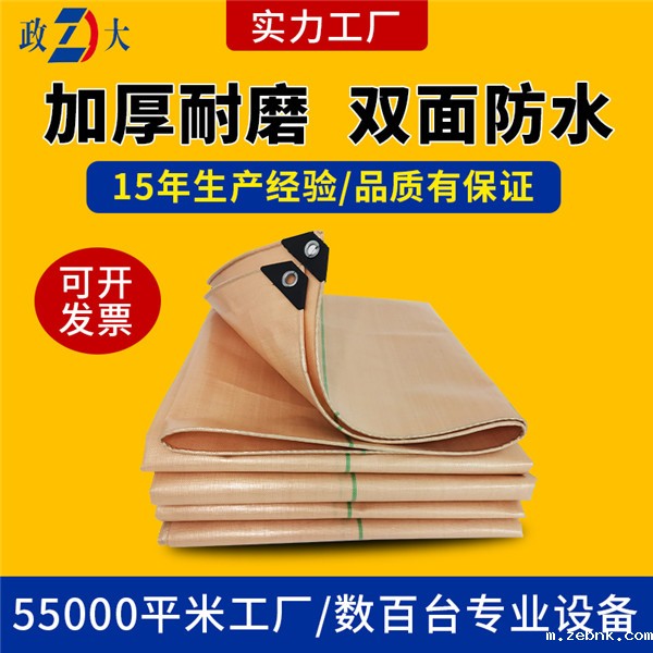 金鲨开云官网入口网页版下载