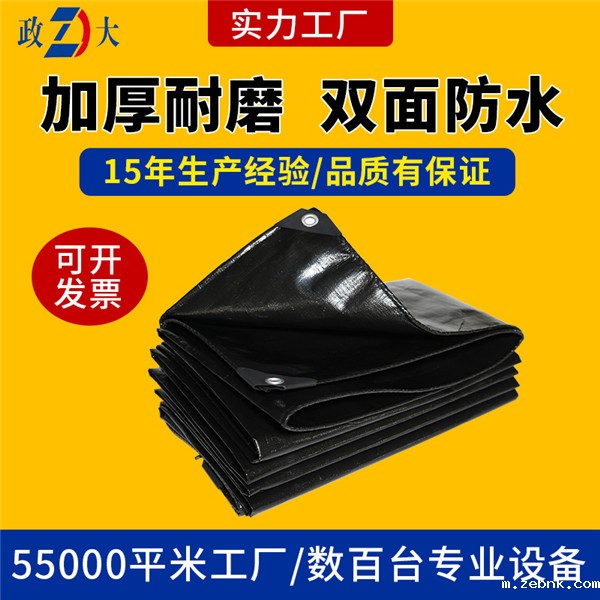 双黑开云官网入口网页版下载