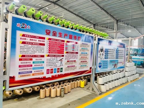 开云电竞游戏官网入口