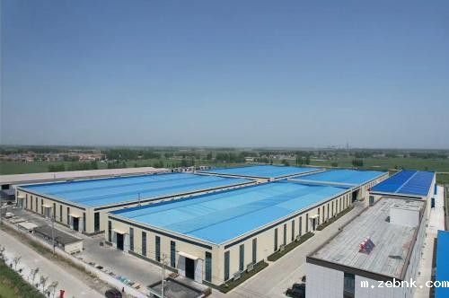 开云电竞游戏官网入口